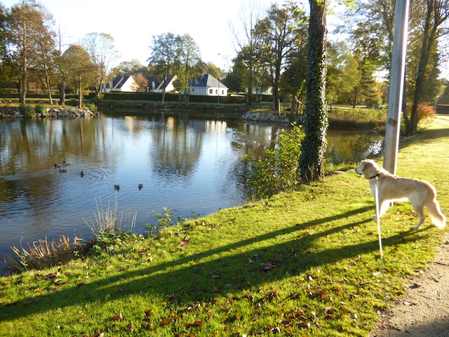 lacdelaferriereauxetangs